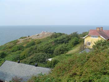 DSC00715